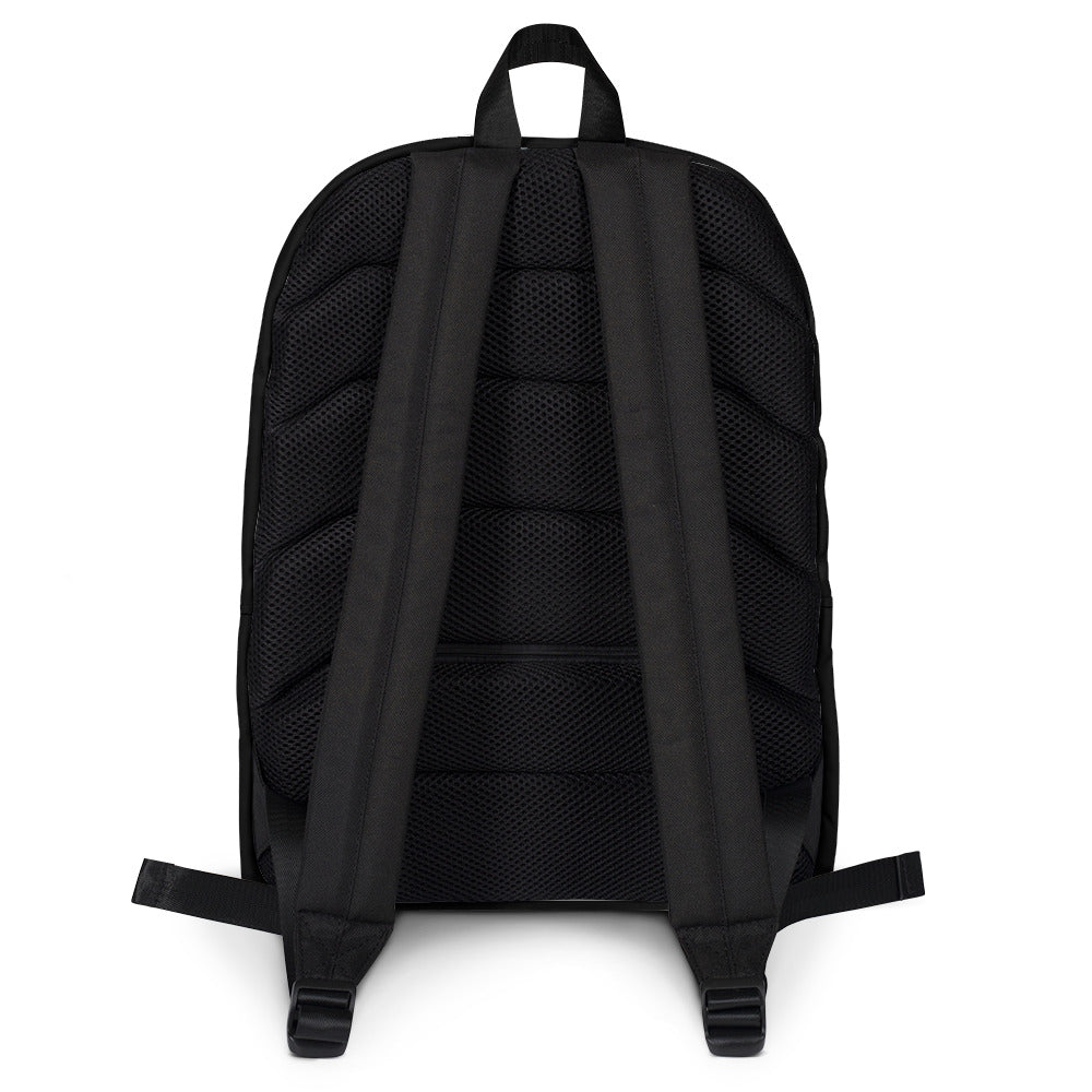 Trans Pride Flag Striped Backpack, , HEED THE HUM